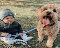 She is also a mom of furry member of her family alongside Koa.